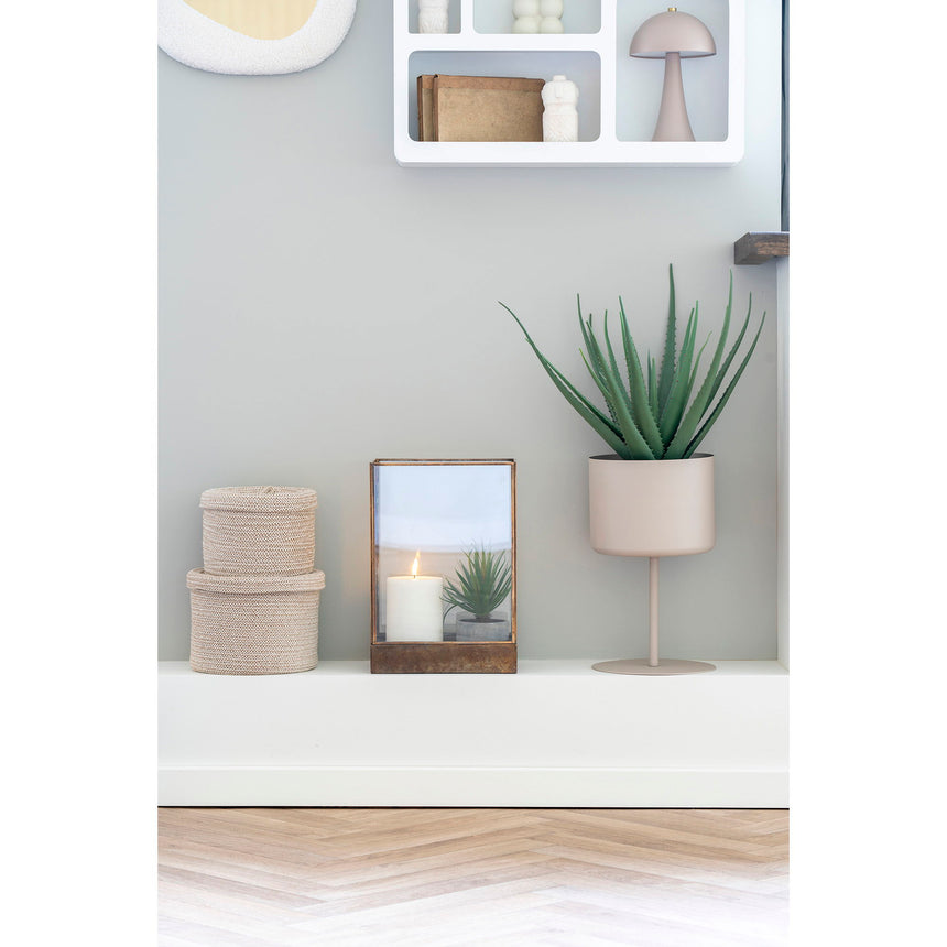 Puesto de plantas Trofa