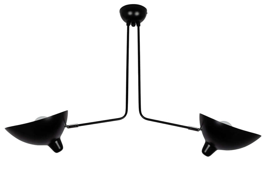 Lámpara colgante Raven 2