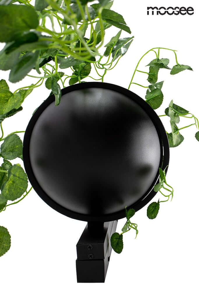 33. Plant Wall fali lámpa fekete