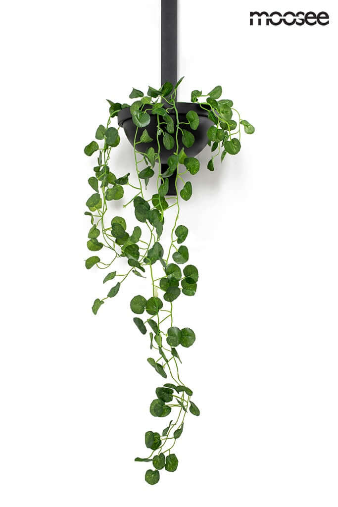 33. Plant Wall fali lámpa fekete