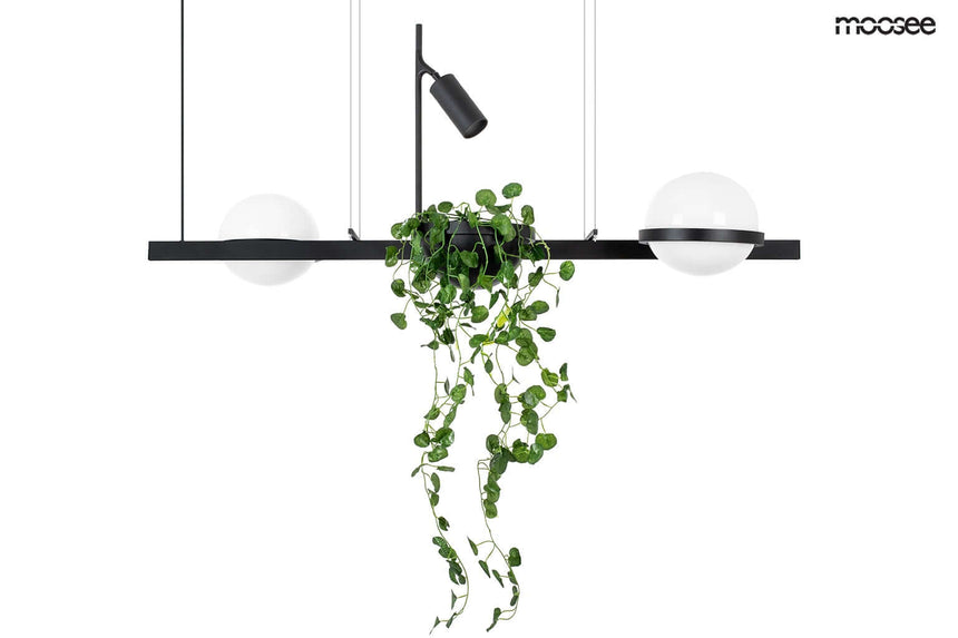 32. Plant függőlámpa fekete
