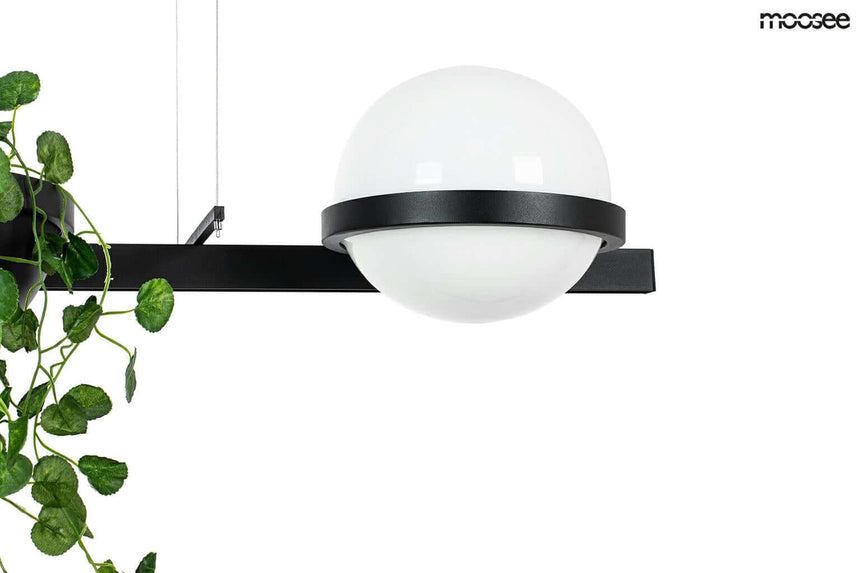 32. Plant függőlámpa fekete