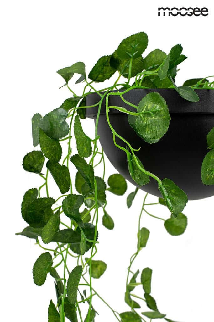32. Plant függőlámpa fekete