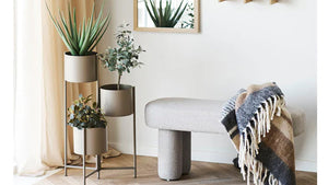 Puestos de flores, macetas