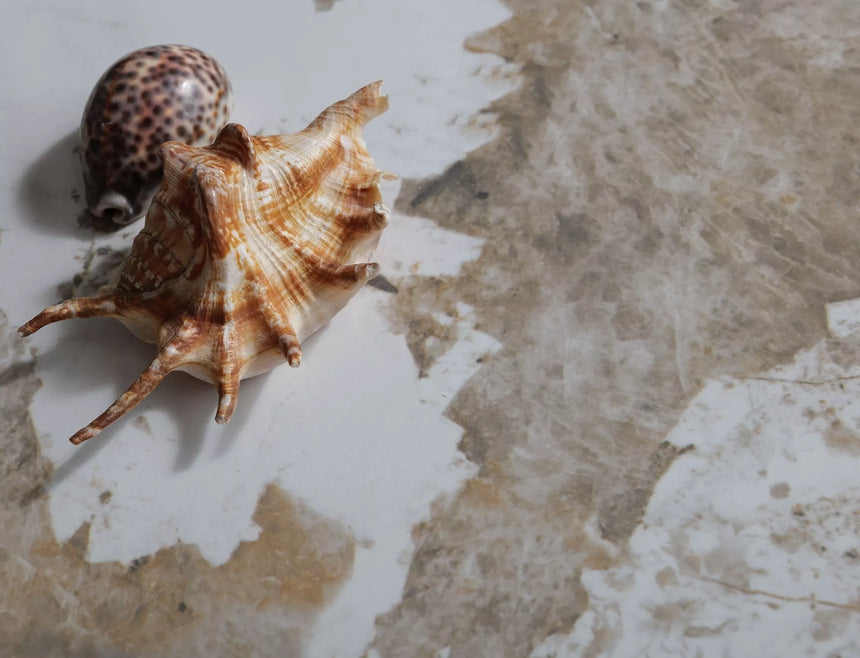 Mesa de centro Salo B