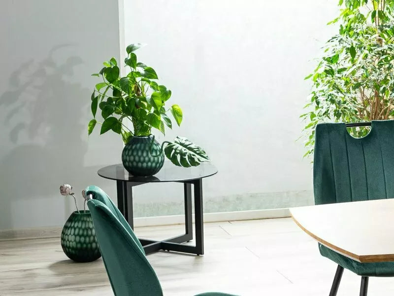 Almería La mesa de café