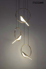 Lámpara colgante Bird Disc dorada