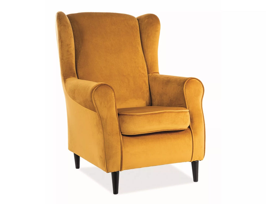 Sillón Barón Terciopelo VI.