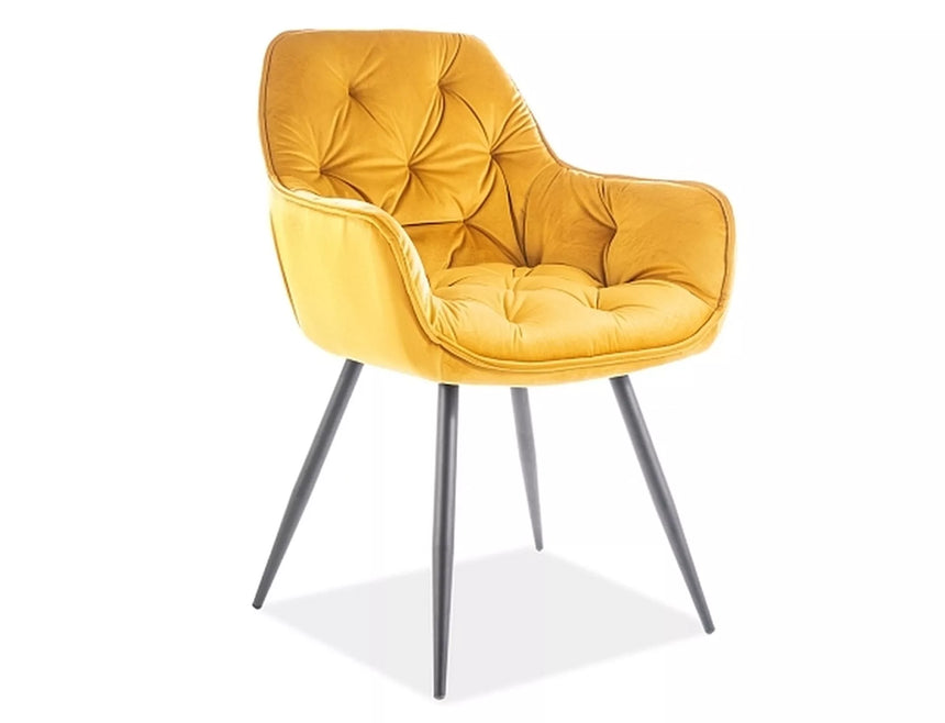 Silla de terciopelo cereza III.